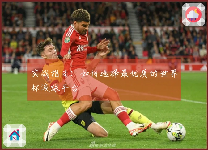实战指南：如何选择最优质的世界杯滚球平台