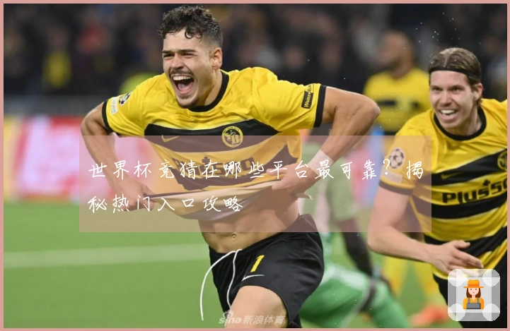 世界杯竞猜在哪些平台最可靠？揭秘热门入口攻略