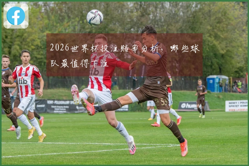 2026世界杯投注赔率分析，哪些球队最值得下注