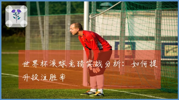 世界杯滚球竞猜实战分析：如何提升投注胜率